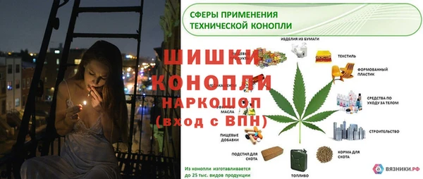 гашик Дмитров