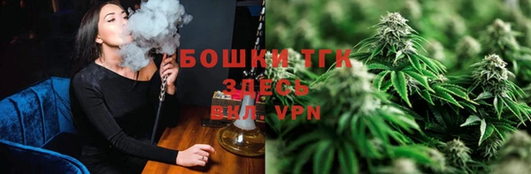 гашик Павлово