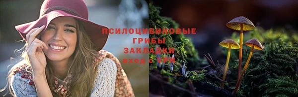 спайс Дмитровск