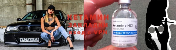 гашик Дмитров