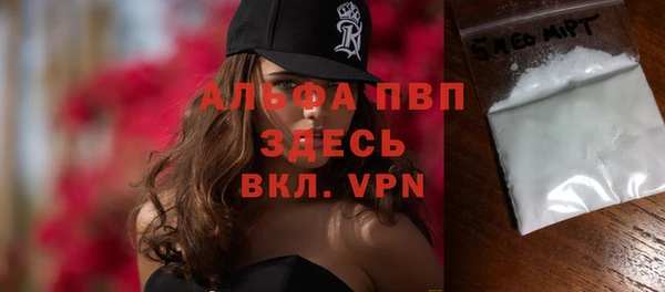 эйфоретик Ельня