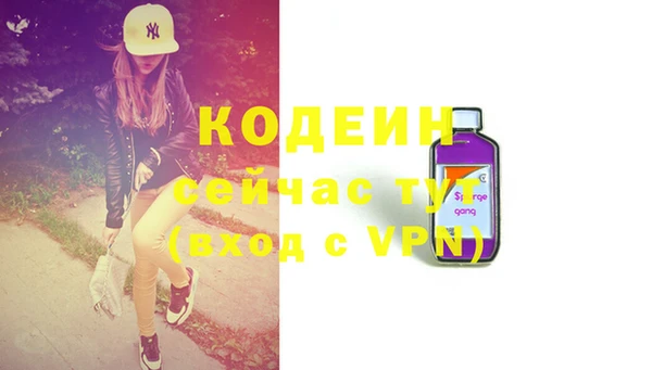 гашик Дмитров