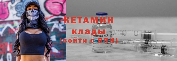 гашик Дмитров