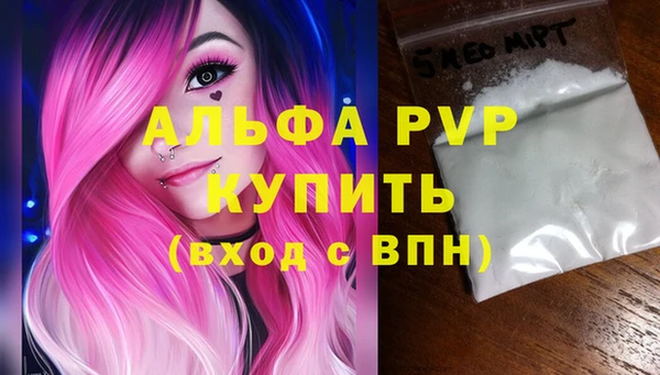 гашик Дмитров
