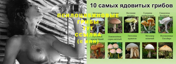 спайс Дмитровск