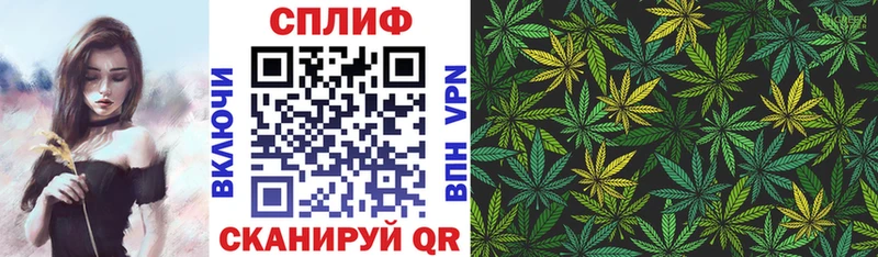 как найти закладки  Светлый  Каннабис сатива 